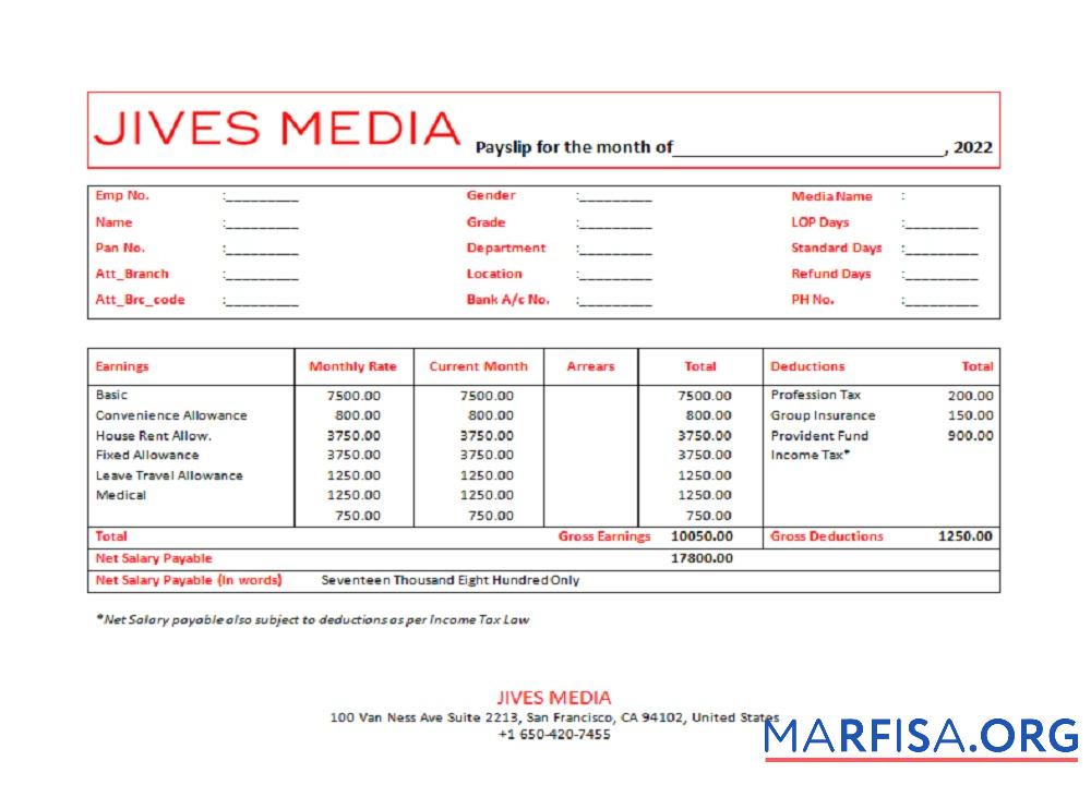 Realistic USA Jives Media advertising company pay stub sample
